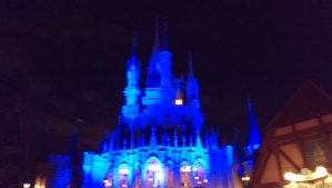 The backside of Cinderella Castle.  Needs Lights!